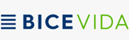BICE.png